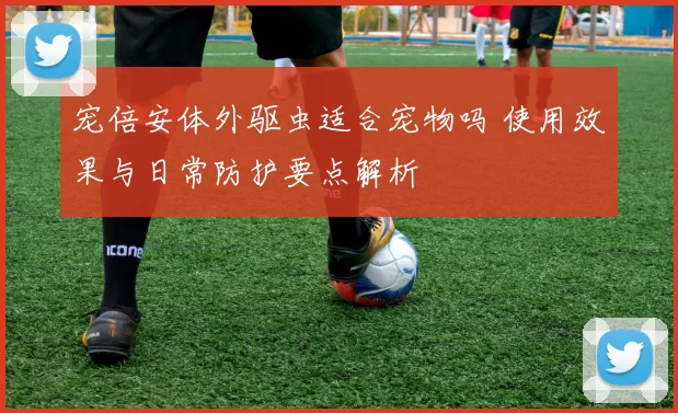 宠倍安体外驱虫适合宠物吗 使用效果与日常防护要点解析