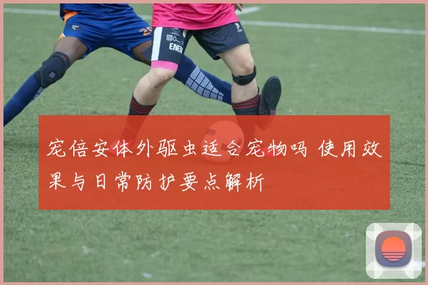 宠倍安体外驱虫适合宠物吗 使用效果与日常防护要点解析