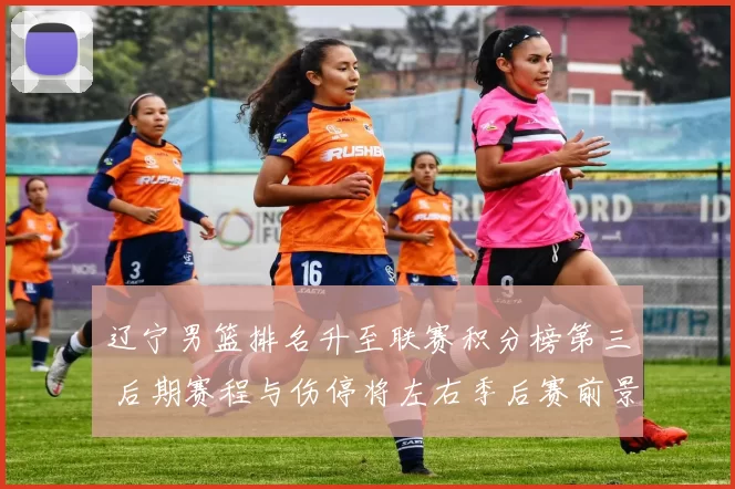 辽宁男篮排名升至联赛积分榜第三 后期赛程与伤停将左右季后赛前景