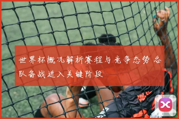 世界杯概况解析赛程与竞争态势 各队备战进入关键阶段