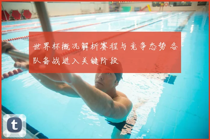 世界杯概况解析赛程与竞争态势 各队备战进入关键阶段